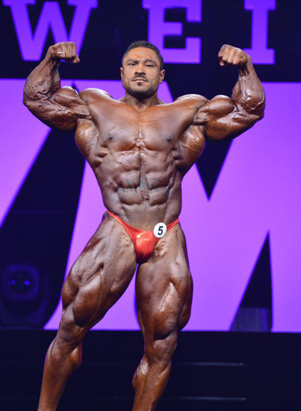 Ролли Винклаар, Roelly Winklaar на турнире Мистер Олимпия 2015