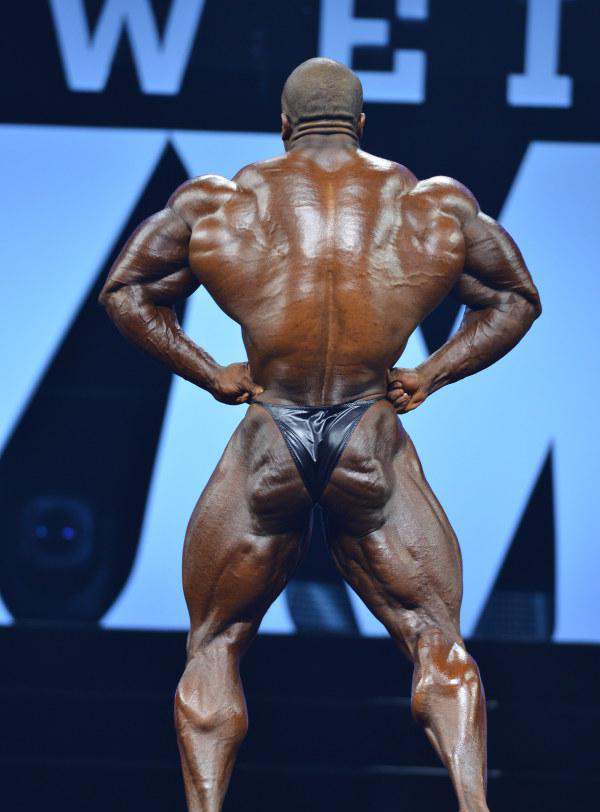 Шон Роден, Shawn Rhoden на турнире Мистер Олимпия 2015