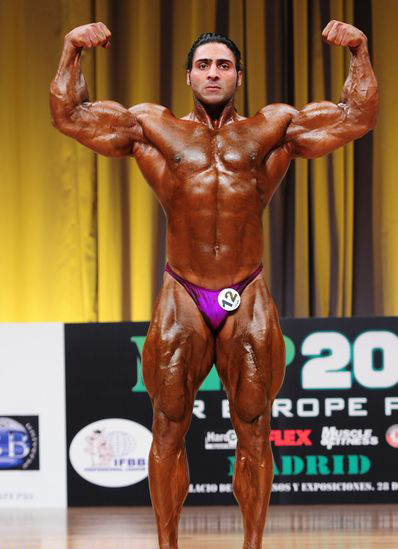Мистер Европа Про 2012, Mr. Europe Pro, 28 апреля 2012, Мадрид, Испания