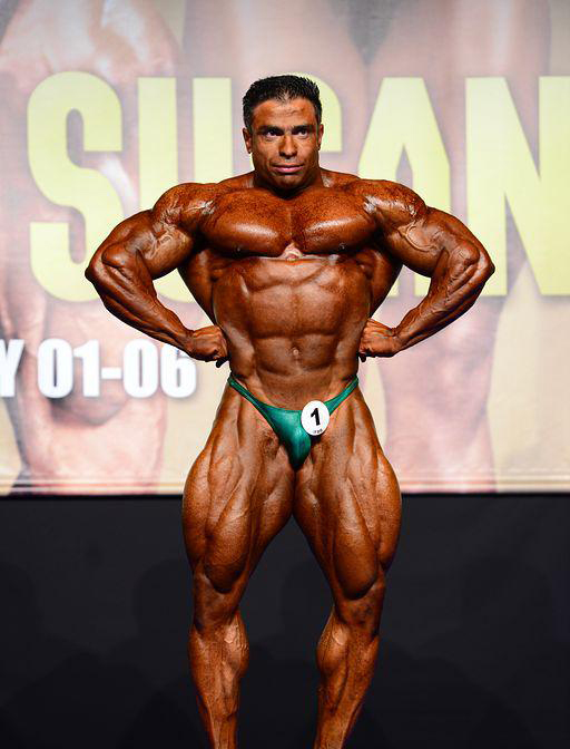 Байтоллах Аббаспур, Baitollah Abbaspour на турнире Мистер Европа Про 2013