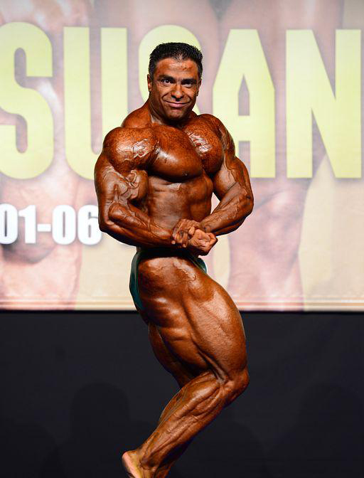Байтоллах Аббаспур, Baitollah Abbaspour на турнире Мистер Европа Про 2013