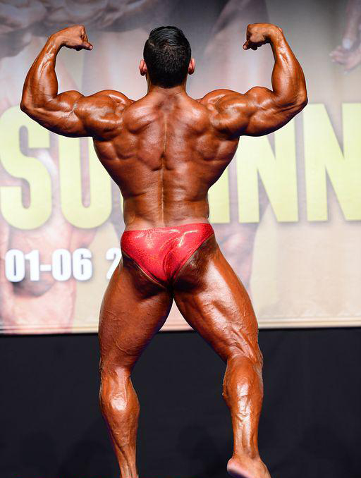 Мистер Европа Про 2013, Mr. Europe Pro, 4 мая 2013, Барселона, Испания