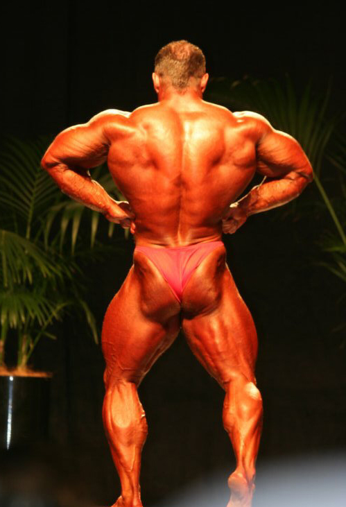 Ронни Рокел, Ronny Rockel на турнире Новая Зеландия Про 2008