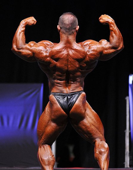 Прага Про 2012, EVLs Prague Pro, 27 октября 2012, Прага, Чехия