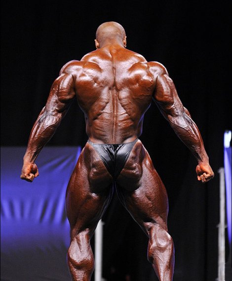 Прага Про 2012, EVLs Prague Pro, 27 октября 2012, Прага, Чехия