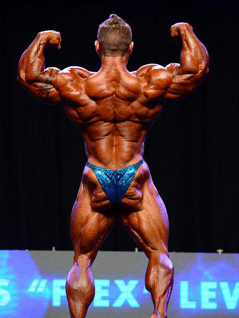 Джеймс Флекс Льюис, James Flex Lewis на турнире Прага Про 2014