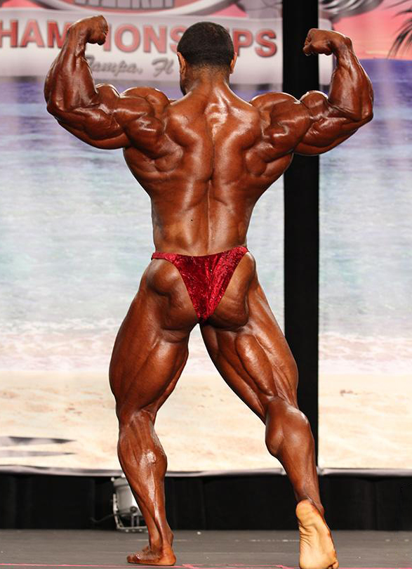 Про Бодибилдинг Уикли Тампа 2012, Pro Bodybuilding Weekly Championships Tampa, 11 августа 2012, Тампа, США