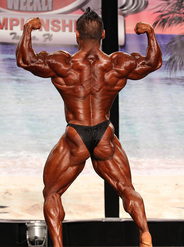 Про Бодибилдинг Уикли Тампа 2012, Pro Bodybuilding Weekly Championships Tampa, 11 августа 2012, Тампа, США