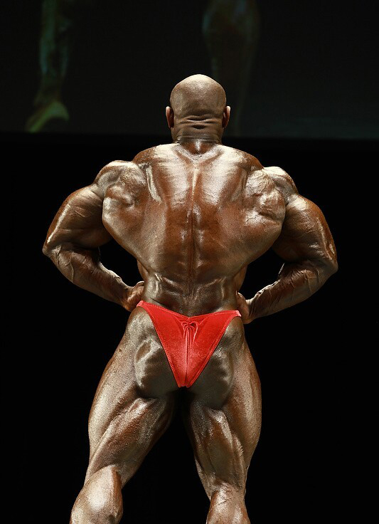 Флорида Про Мастерз 2011, Pro World Masters Championships, 10 декабря 2011, Майами, США