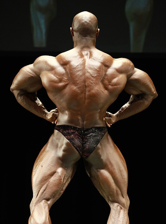 Флорида Про Мастерз 2011, Pro World Masters Championships, 10 декабря 2011, Майами, США