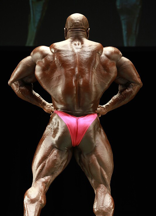 Флорида Про Мастерз 2011, Pro World Masters Championships, 10 декабря 2011, Майами, США