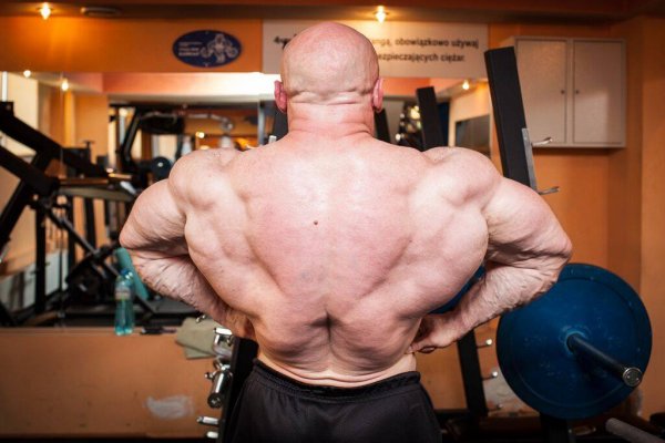 Тампа Бей Про 2015, Wings of Strength Tampa Pro, 8 августа 2015, Тампа