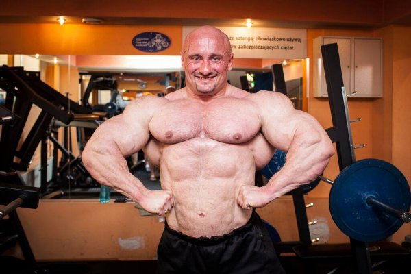 Тампа Бей Про 2015, Wings of Strength Tampa Pro, 8 августа 2015, Тампа