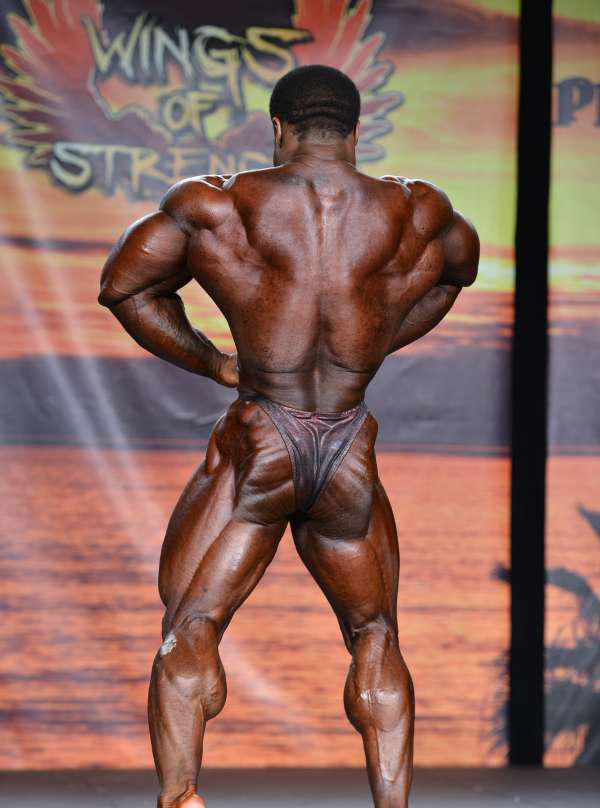 Тампа Бей Про 2015, Wings of Strength Tampa Pro, 8 августа 2015, Тампа