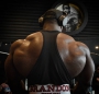 @brandon__curry. 8wks out. 2017 Mr. Olympia in Vegas