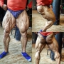IFBB Pro Hadi Choopan from Iran. 212lb catagory