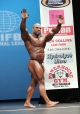 Открытая категория