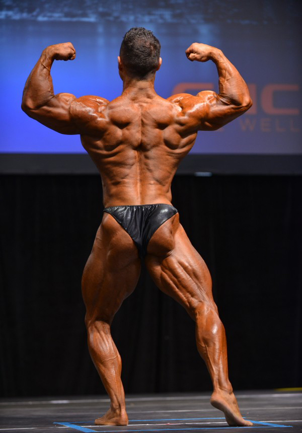 Торонто Про Супершоу 2013, Toronto Pro SuperShow, 31 мая 2013, Торонто, Канада