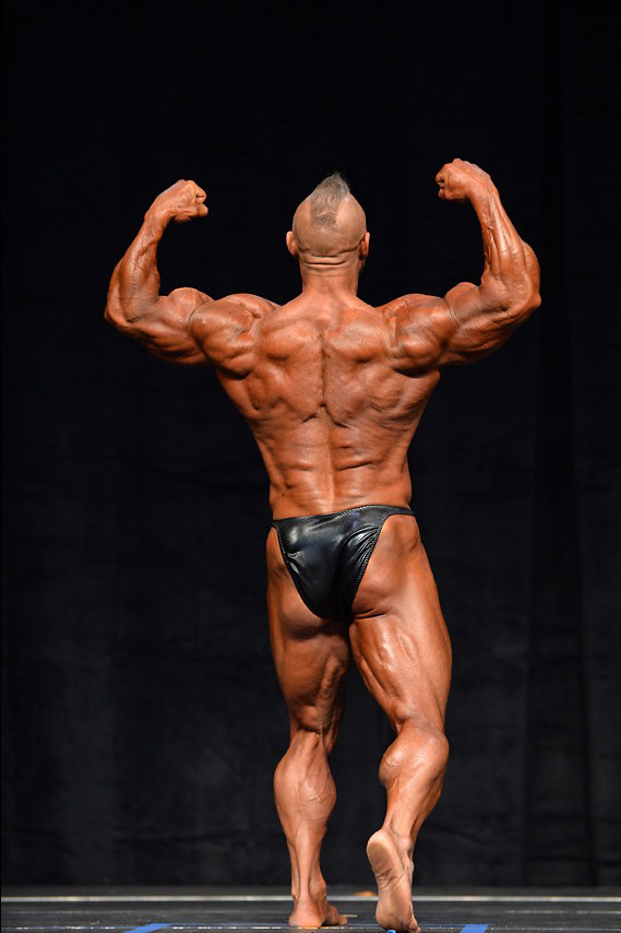 Торонто Про Супершоу 2015, Toronto Pro SuperShow, 7 июня 2015, Торонто, Канада