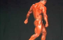 Sergey Shelestov видео предварительного судейства на Мистер Олимпия 2007