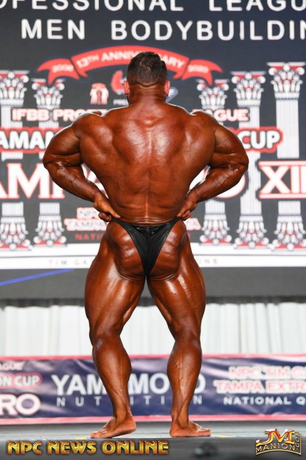 Wings of Strength Tampa Pro 2020