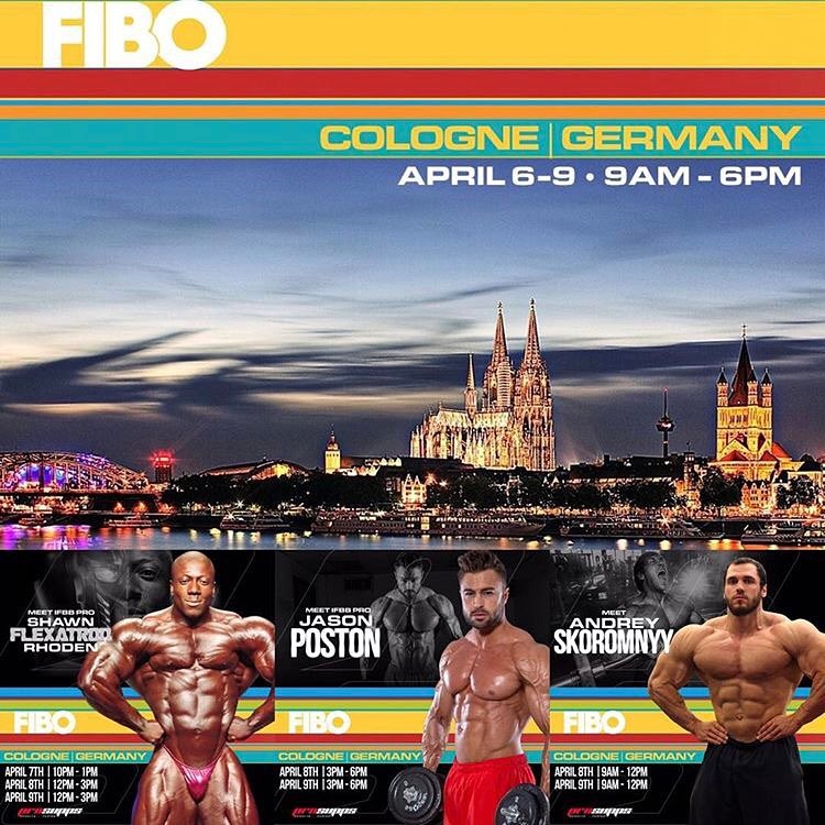 FIBO-2017