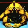 Muaythai.su