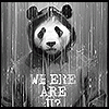 thea_k