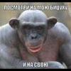 MOHCTP