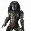 Predator
