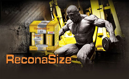 Fitness Authority ReconaSize