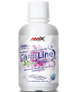 Amix CarniLine Pro Active (480 мл)