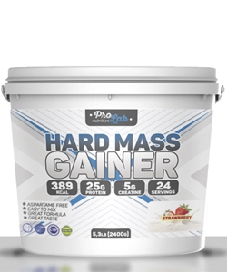 Prolab Hard Mass Gainer (4800 грамм, 48 порций)