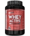 ActiWay Nutrition Whey Active (1000 грамм, 31 порция)