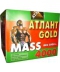 Атлант Mass 4000 (3000 грамм)